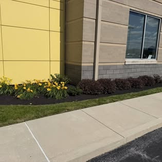 HDL Property Services yard clean-up